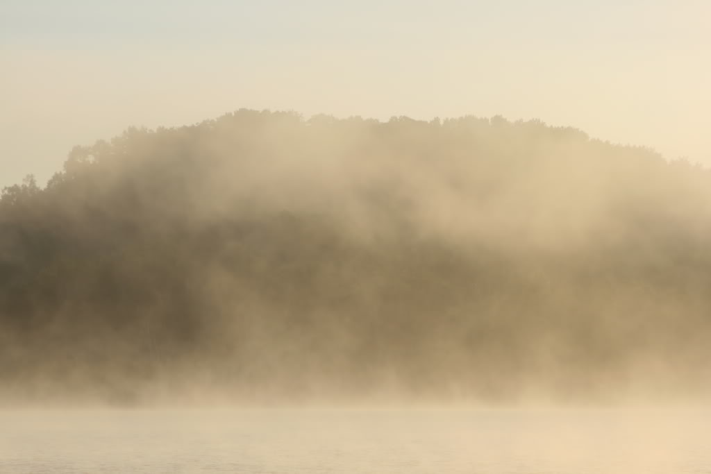 Name:  IMG_3252.jpg
Views: 13
Size:  28.9 KB