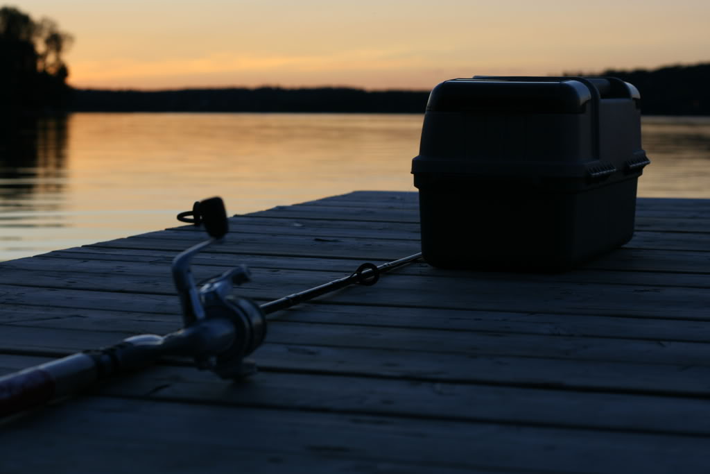 Name:  IMG_3670.jpg
Views: 13
Size:  49.1 KB