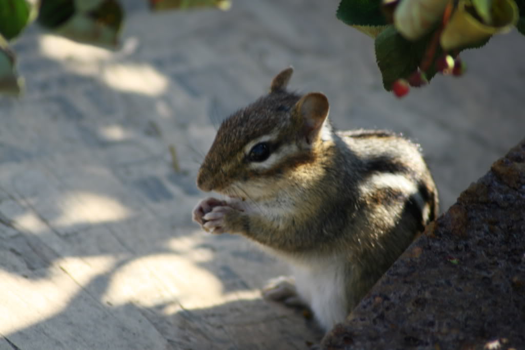 Name:  IMG_3846.jpg
Views: 13
Size:  63.6 KB