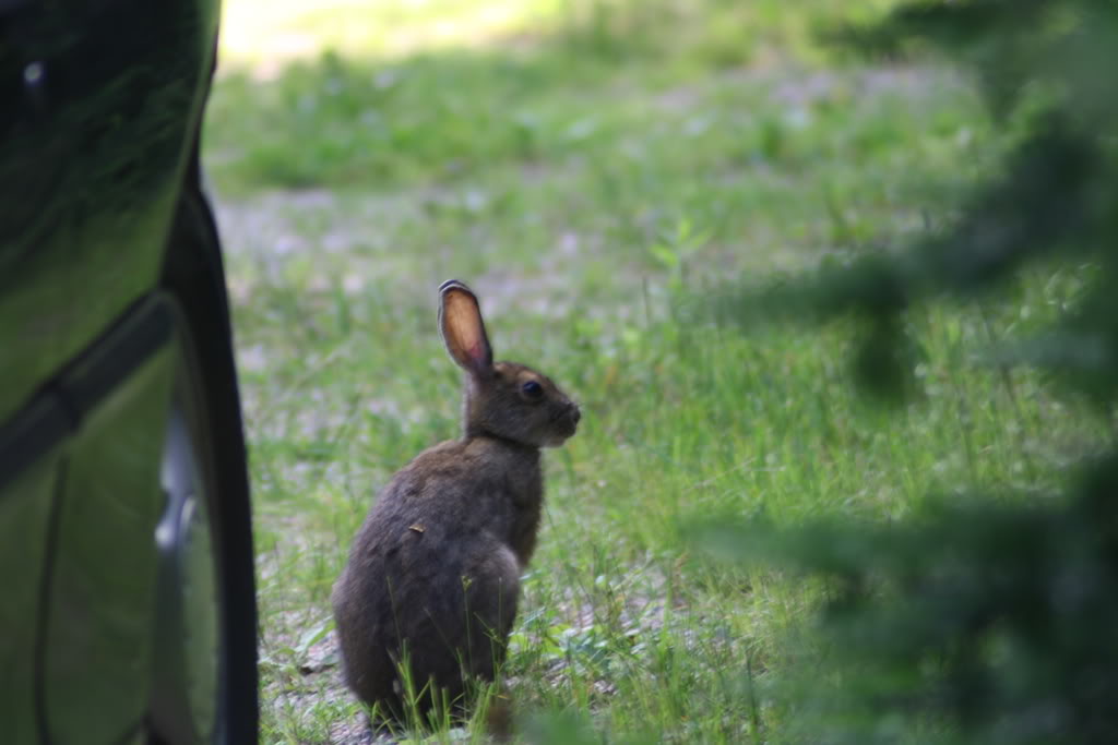 Name:  IMG_3827.jpg
Views: 15
Size:  70.4 KB