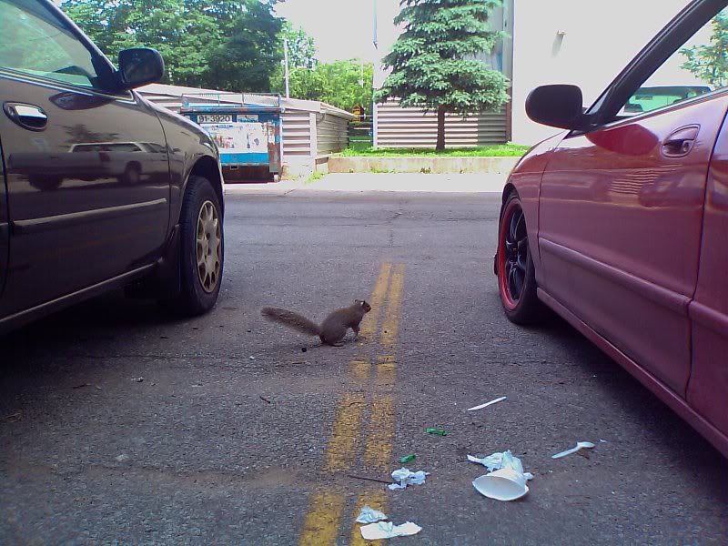 Name:  IMAGE_076.jpg
Views: 9
Size:  103.6 KB