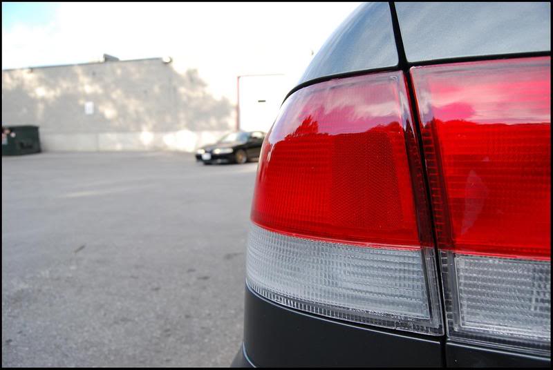 Name:  DSC_0003-2.jpg
Views: 15
Size:  72.7 KB