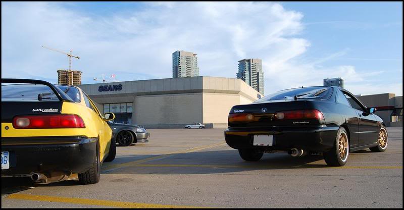 Name:  DSC_0017-1.jpg
Views: 14
Size:  69.9 KB