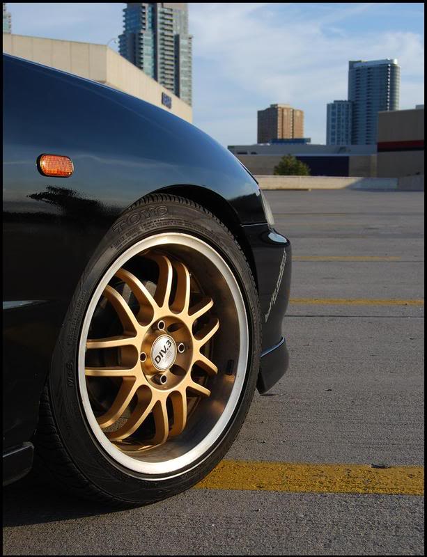 Name:  DSC_0019-1.jpg
Views: 15
Size:  99.1 KB