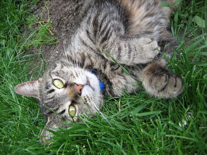 Name:  lol.jpg
Views: 17
Size:  133.9 KB