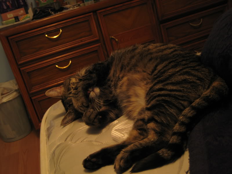 Name:  IMG_5258.jpg
Views: 15
Size:  58.0 KB