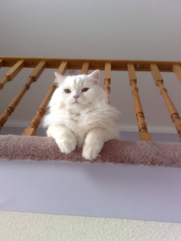 Name:  23022008124.jpg
Views: 18
Size:  37.7 KB