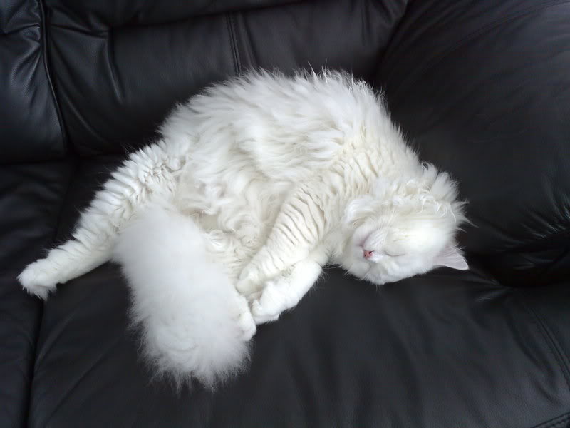 Name:  27082007331.jpg
Views: 16
Size:  41.8 KB