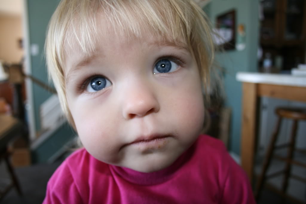 Name:  IMG_811.jpg
Views: 15
Size:  64.1 KB