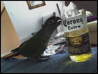 Name:  2-6.jpg
Views: 18
Size:  15.1 KB