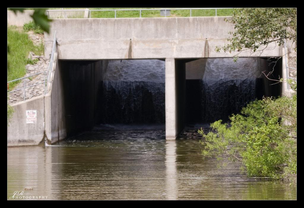 Name:  _MG_9139copy.jpg
Views: 21
Size:  108.4 KB