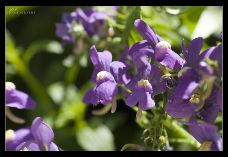 Name:  84423482.jpg
Views: 24
Size:  57.2 KB