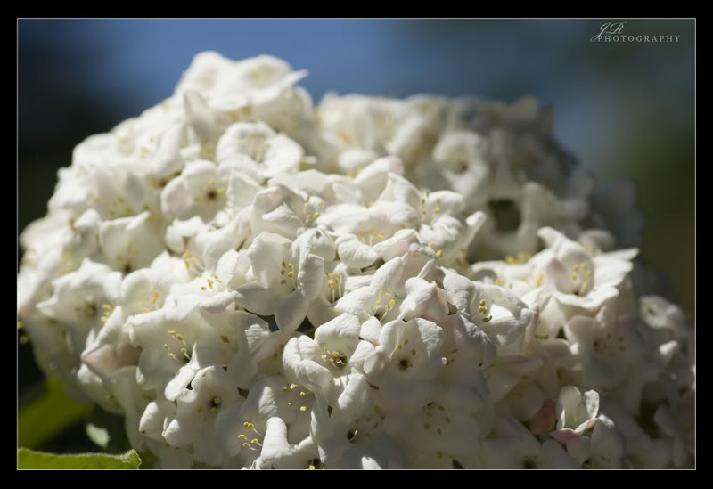 Name:  655de9c4.jpg
Views: 24
Size:  52.7 KB