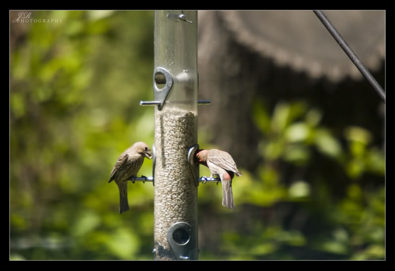 Name:  87e27597.jpg
Views: 23
Size:  50.9 KB