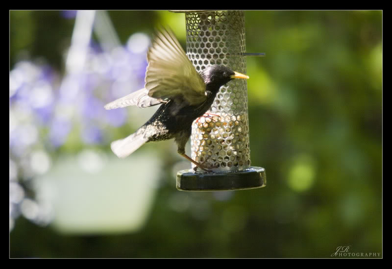 Name:  f016985a.jpg
Views: 24
Size:  51.0 KB