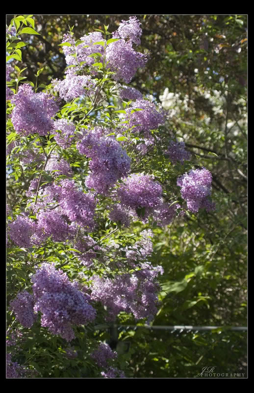 Name:  9b736df3.jpg
Views: 25
Size:  139.1 KB