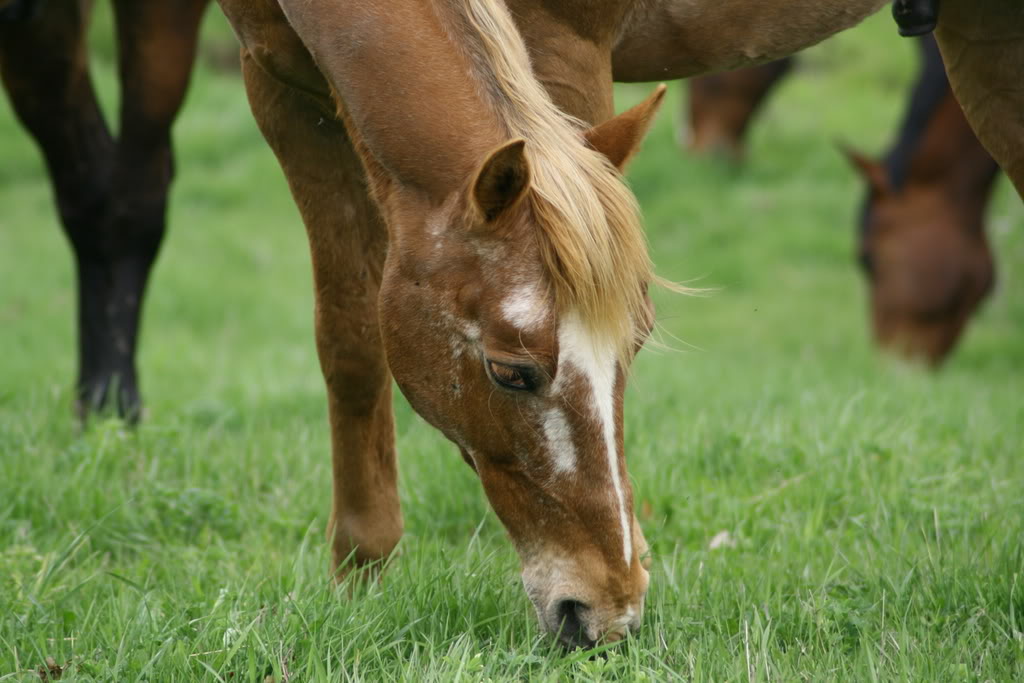 Name: IMG_0342.jpg
Views: 15
Size: 105.0 KB