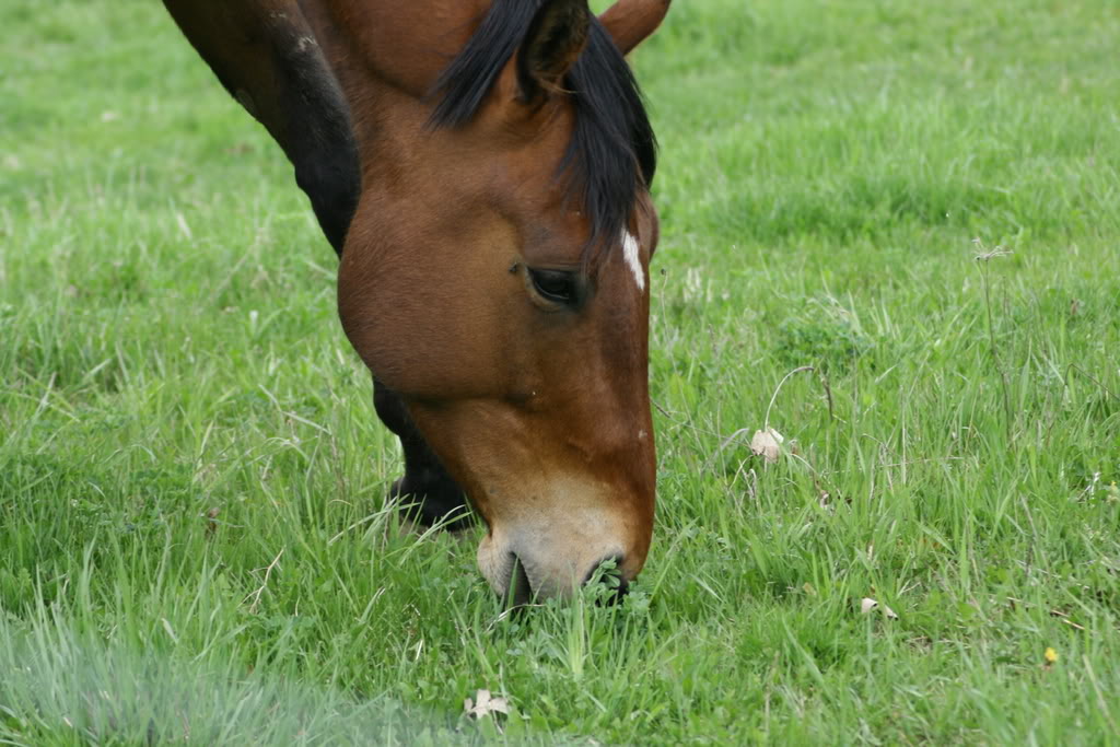 Name: IMG_0348.jpg
Views: 14
Size: 137.0 KB