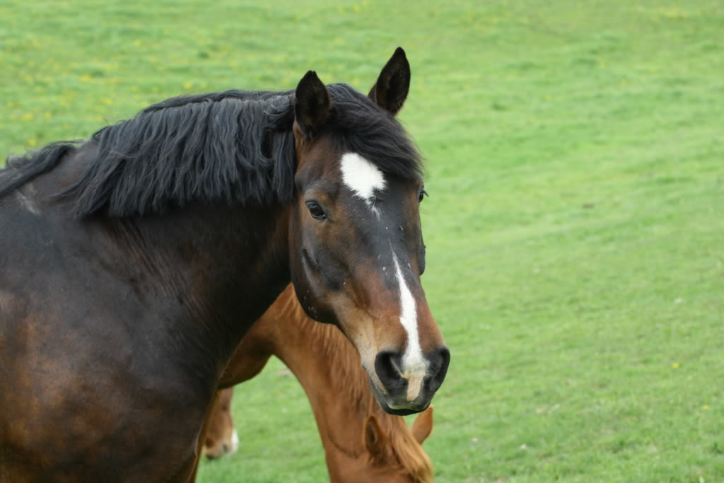 Name: IMG_0350.jpg
Views: 16
Size: 72.9 KB