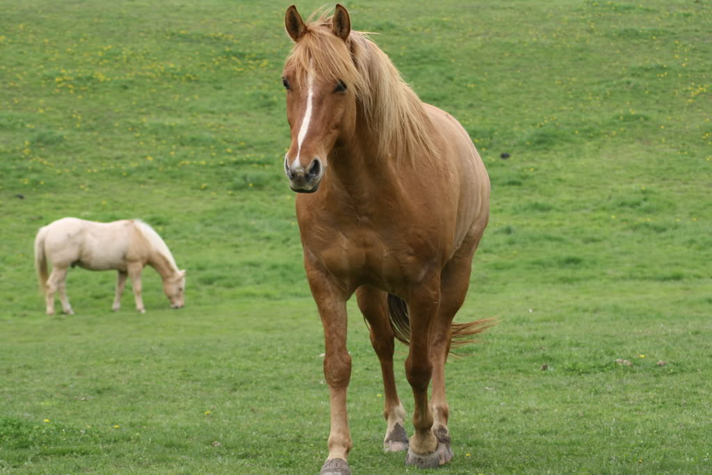 Name: IMG_0363.jpg
Views: 15
Size: 107.6 KB