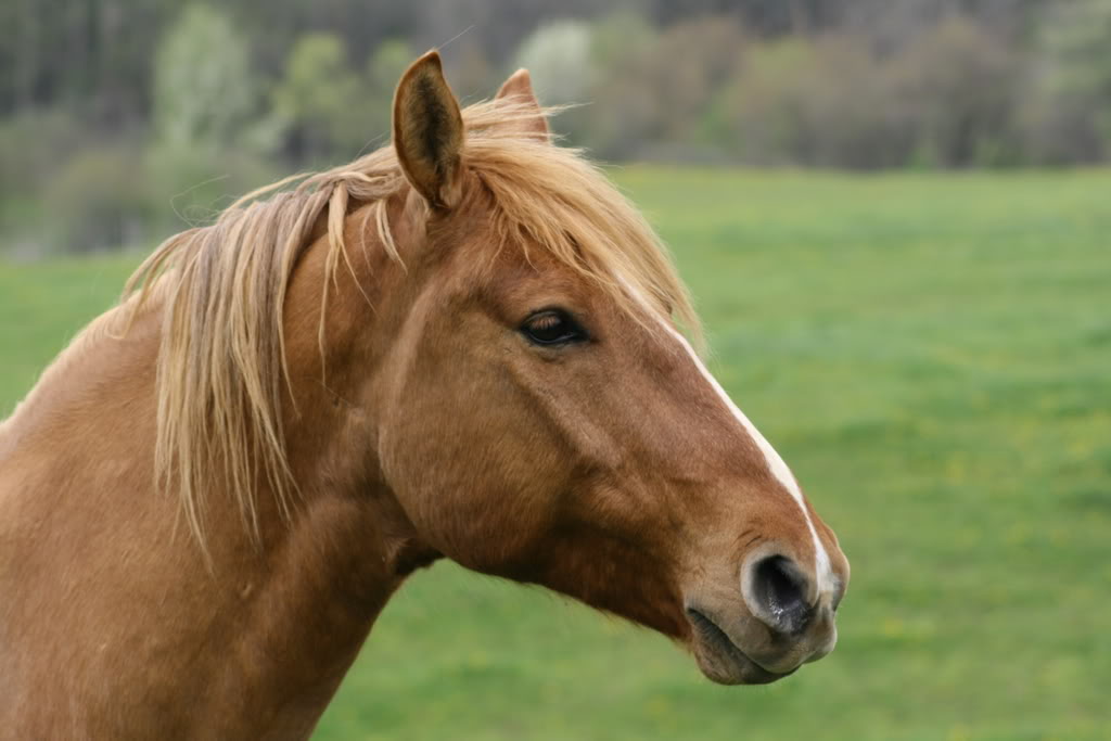 Name: IMG_0367.jpg
Views: 14
Size: 71.8 KB