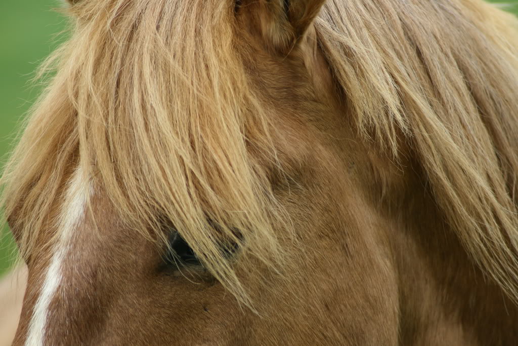 Name: IMG_0369.jpg
Views: 15
Size: 156.2 KB