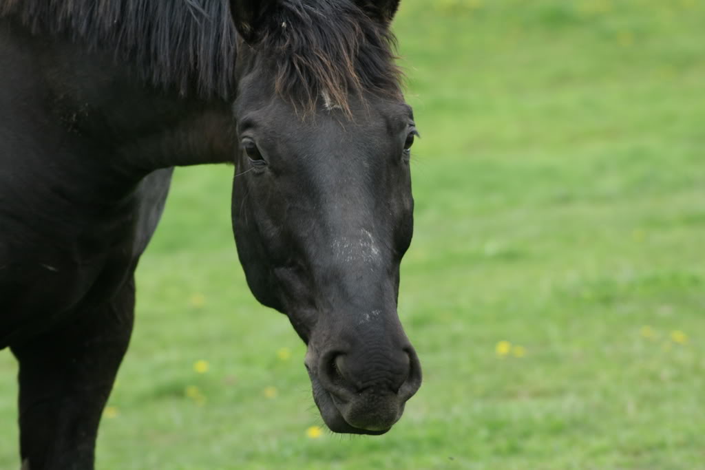 Name: IMG_0398.jpg
Views: 16
Size: 58.0 KB