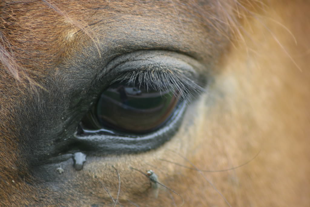 Name: IMG_0426.jpg
Views: 14
Size: 100.2 KB