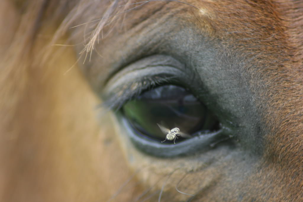 Name:  IMG_0425.jpg
Views: 15
Size:  70.3 KB