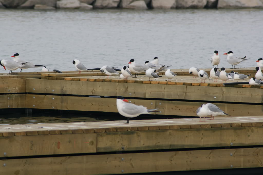 Name: IMG_9977.jpg
Views: 18
Size: 76.5 KB