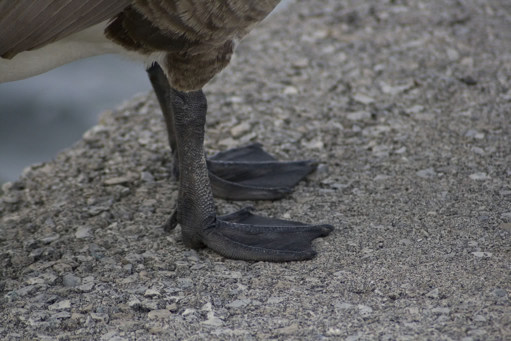 Name: 1324_11.jpg
Views: 16
Size: 146.5 KB