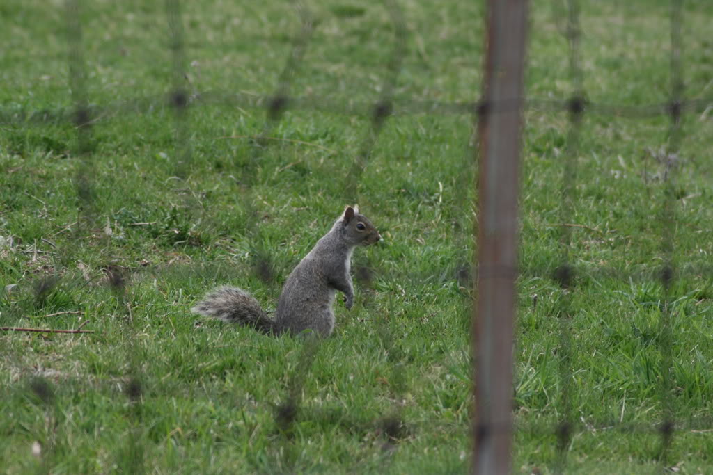 Name: IMG_0013.jpg
Views: 16
Size: 126.4 KB