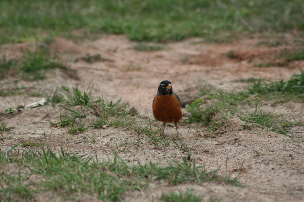 Name: IMG_0051.jpg
Views: 21
Size: 111.6 KB