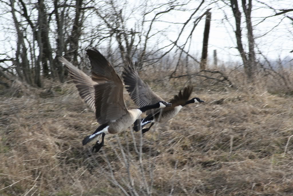 Name: IMG_2930.jpg
Views: 18
Size: 159.9 KB