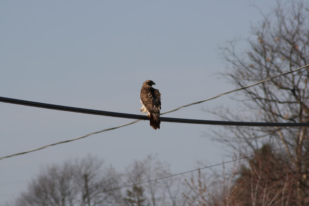 Name: IMG_9833.jpg
Views: 17
Size: 52.5 KB