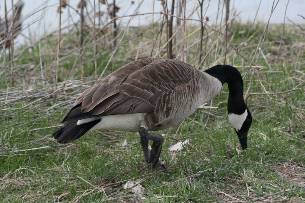 Name: IMG_9955.jpg
Views: 17
Size: 166.4 KB