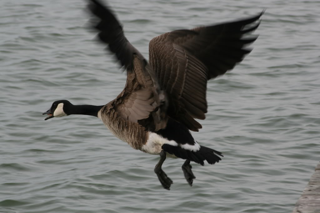 Name: IMG_9975.jpg
Views: 18
Size: 68.4 KB