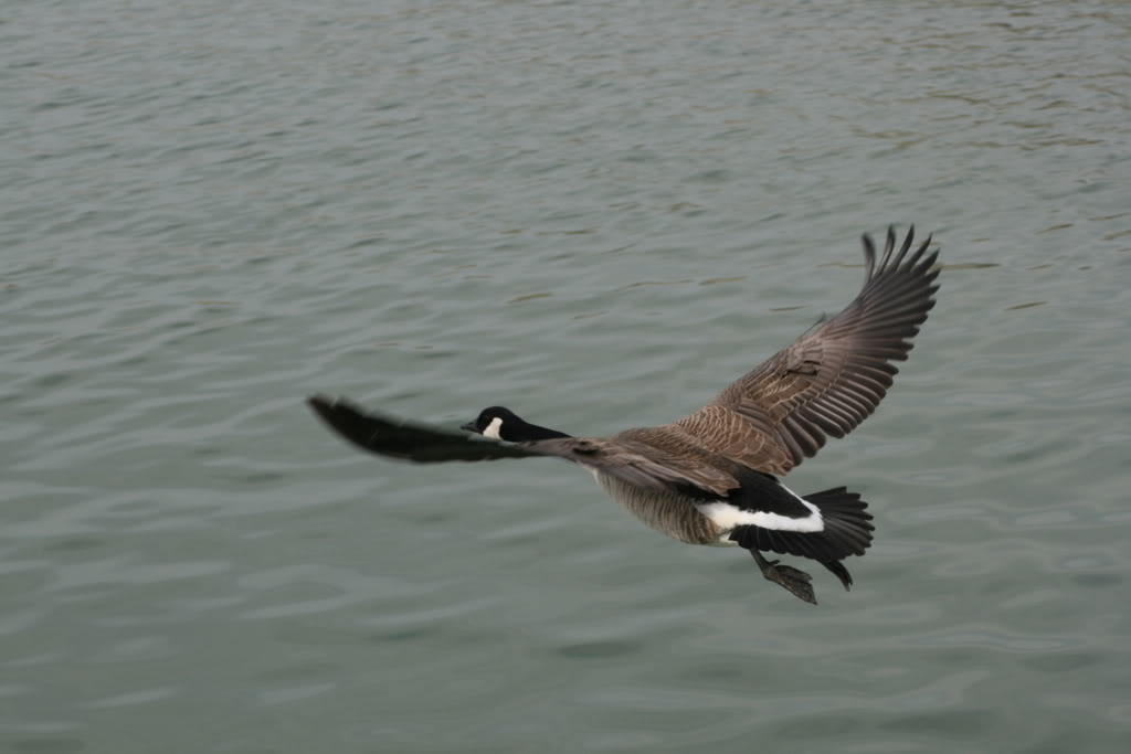 Name: IMG_9997.jpg
Views: 15
Size: 54.5 KB