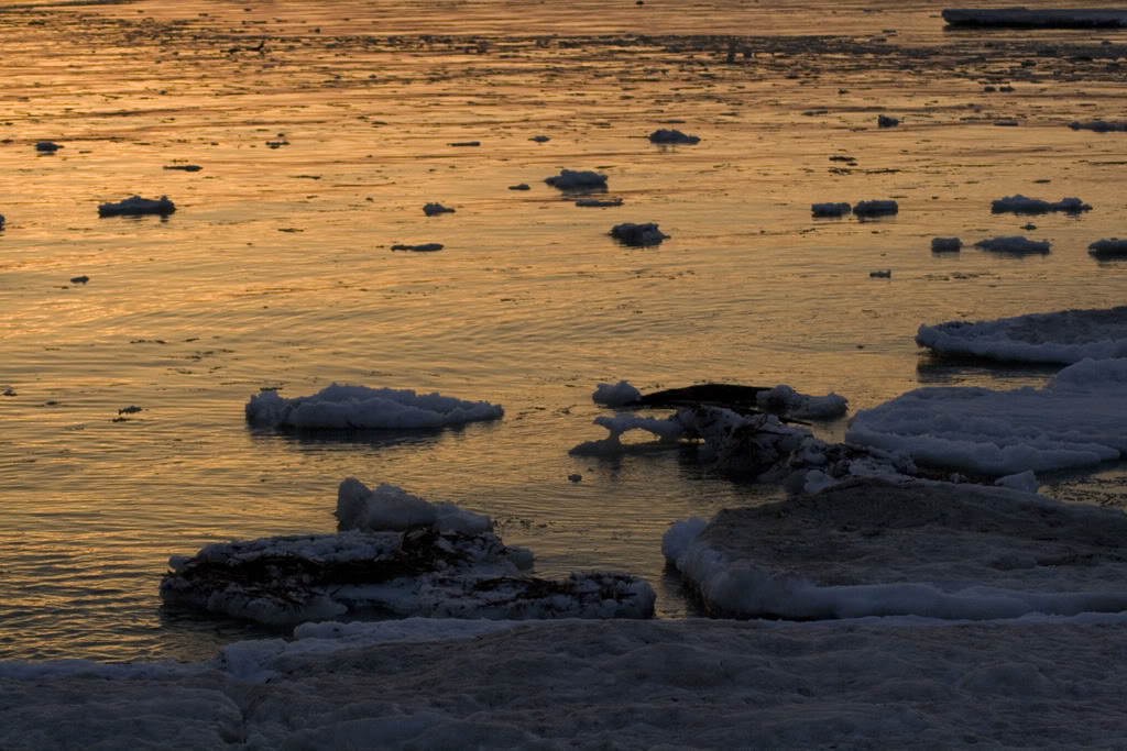 Name: 1324_6.jpg
Views: 10
Size: 141.6 KB