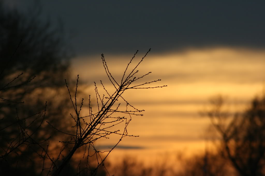 Name: IMG_0098.jpg
Views: 16
Size: 65.6 KB