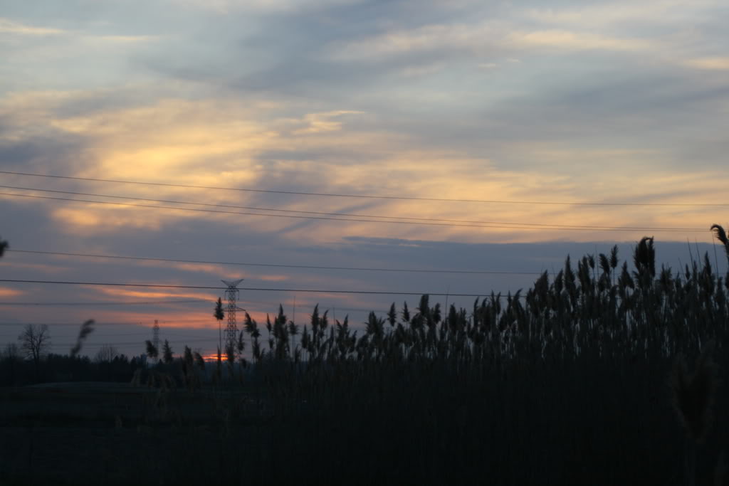 Name: IMG_0165.jpg
Views: 15
Size: 52.7 KB