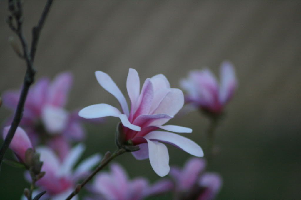 Name: IMG_0215.jpg
Views: 15
Size: 46.0 KB