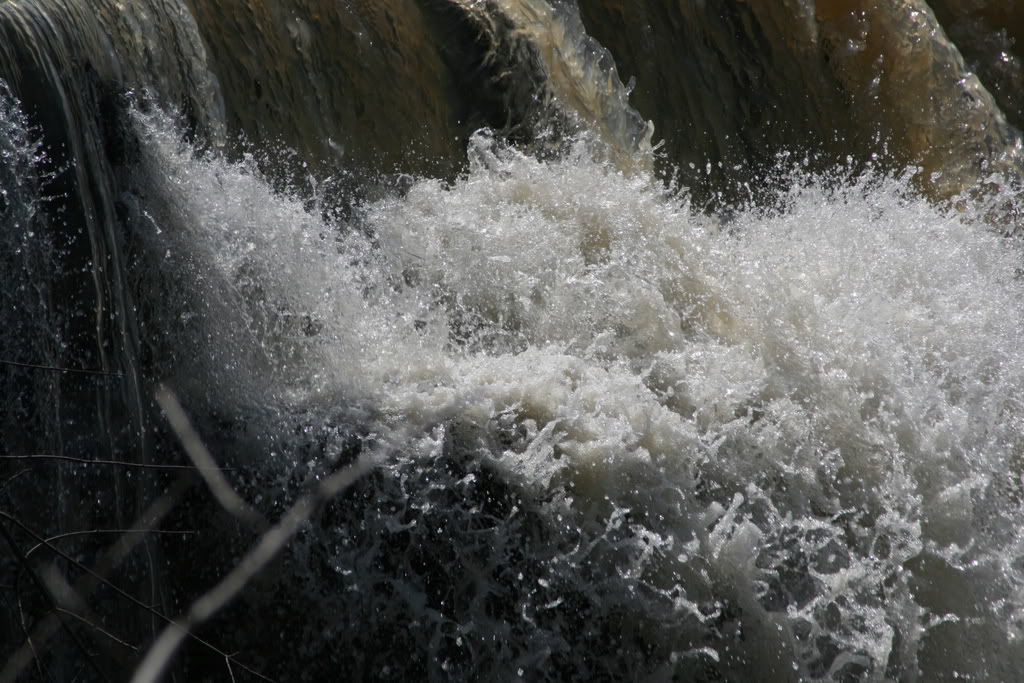 Name: IMG_9826.jpg
Views: 15
Size: 168.4 KB