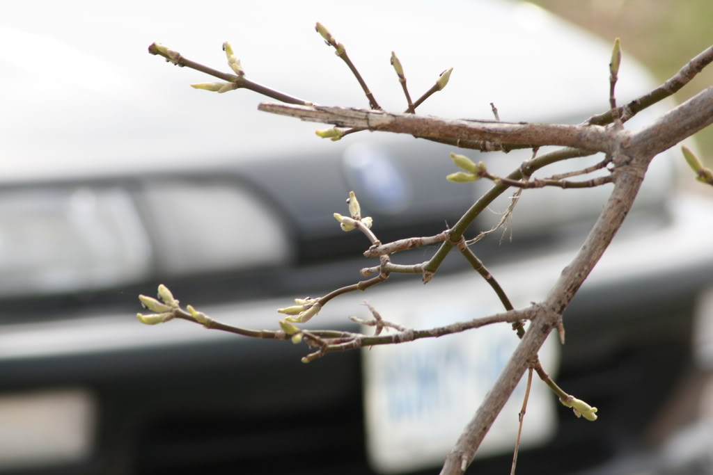 Name: IMG_9939.jpg
Views: 22
Size: 64.6 KB