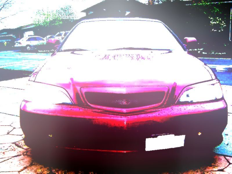 Name:  TL3-1wicked.jpg
Views: 11
Size:  63.3 KB