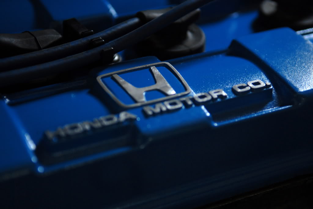 Name:  DSC_0405.jpg
Views: 18
Size:  78.3 KB