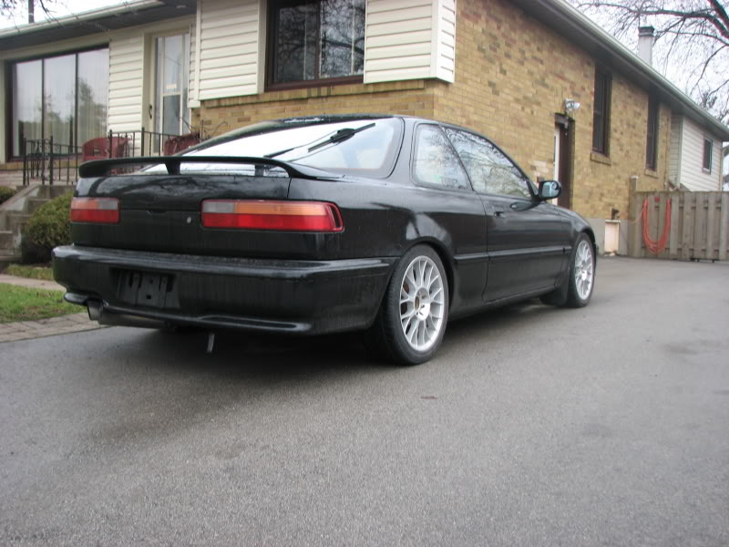 Name:  Baby3.jpg
Views: 11
Size:  88.5 KB