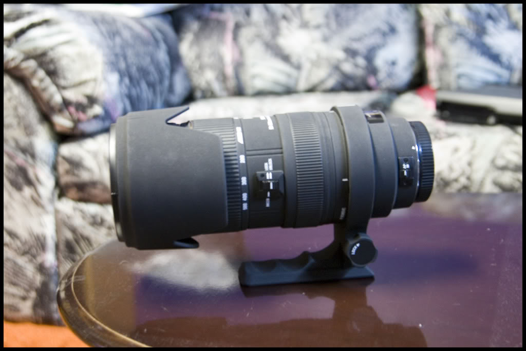 Name:  CRW_1372copy.jpg
Views: 22
Size:  76.2 KB