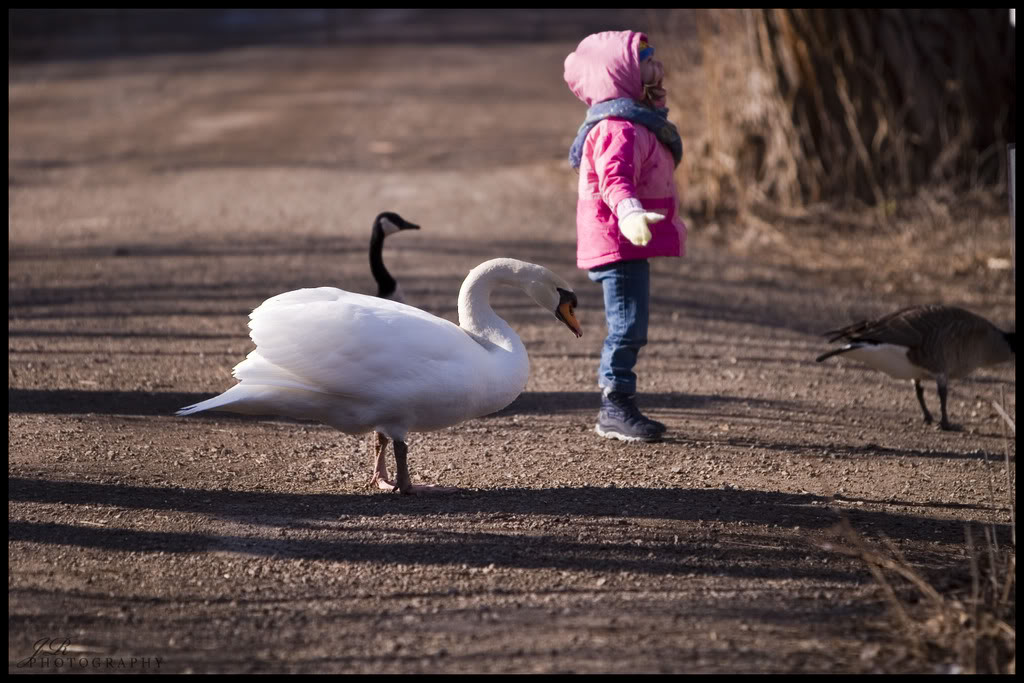 Name:  CRW_1311copy.jpg
Views: 26
Size:  131.5 KB