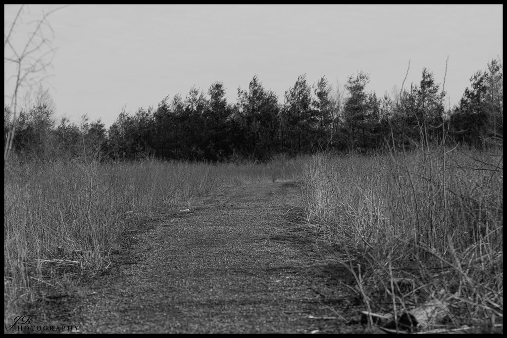 Name:  CRW_1315copy.jpg
Views: 28
Size:  162.6 KB